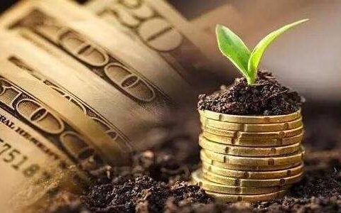 塑料期货外盘涨价